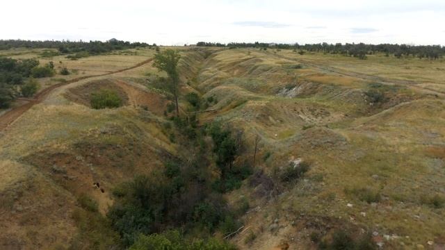 Свалки на склонах оврага смотреть онлайн