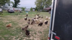 СЕЛЬЧАНКА В АМЕРИКЕ