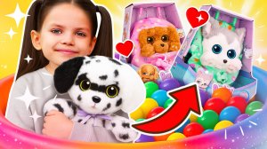 Мягкие игрушки Baby Paws!🐶🦴 Кого выберем? Целый день игр с Далматином щенком!