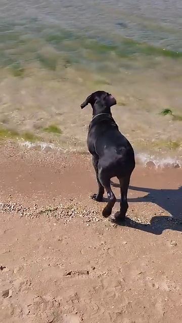 Есть ведь медузы, зачем эти палки? смотреть онлайн