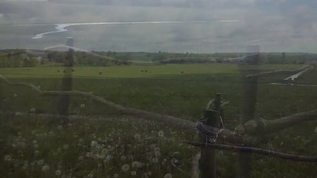 Прекрасна природа Кременецького району