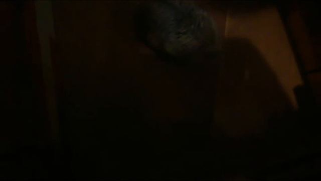 Я в гостях #3 смотреть онлайн