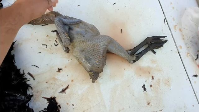 Зарубал Петухов или Не надо меня злить!!!)))