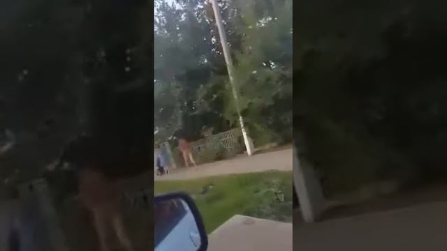 Это Кокшетау детка!