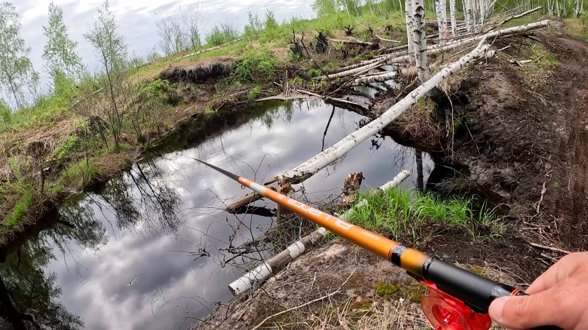 Карасей НАЛОВИЛ и ПОПАЛ в ЦАРСТВО ГРИБНОЕ. ГРибалка в мае, ловля на поплавок смотреть онлайн