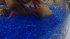 Октонавты Квази и капитан Барнаклс в Магазине Игрушек