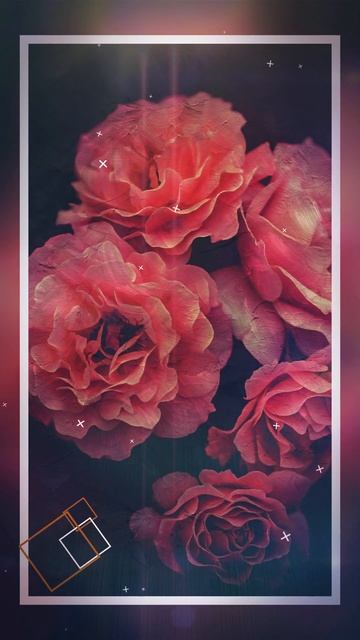 Цветочное слайд-шоу №4 #shorts смотреть онлайн