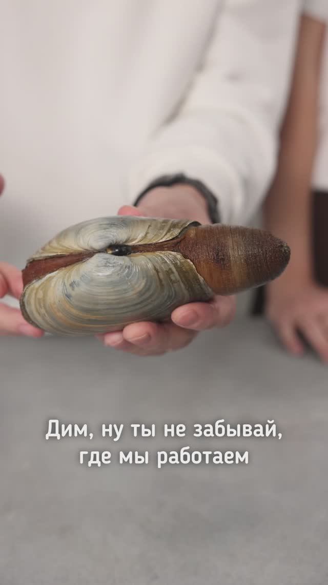 thumb-Гуидак живой 1шт-3}