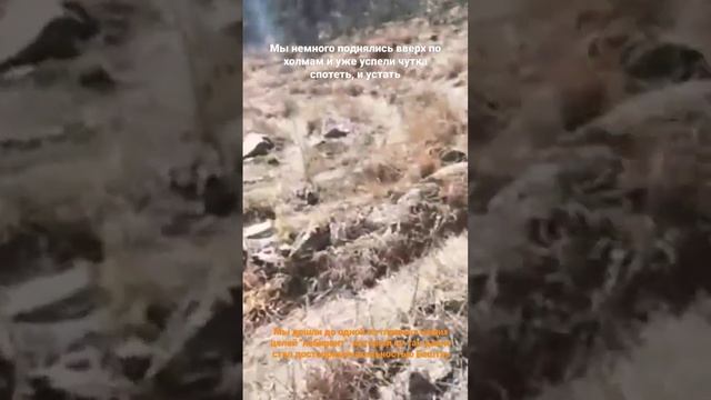 Бештау. Лабиринт. 2019