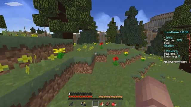 SURVIVAL GAMES | 03 | МОЙ НОВЫЙ СКИН!