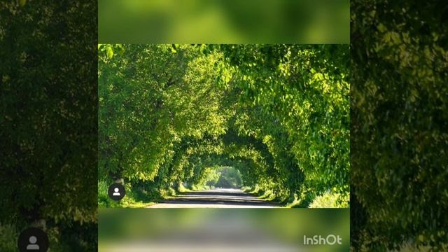 Бек Борбиев ак кайык смотреть онлайн