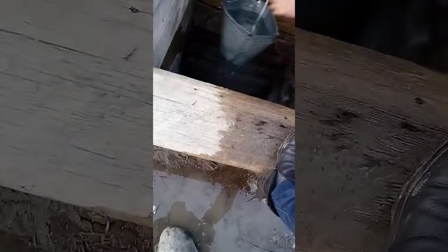 5 марта 2018 г.