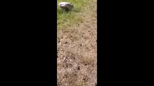 #засветы трусов у девочки #2024