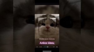 🕊️🌿🫧🍃~эй скейтер мальчик летний ветер порванная ?