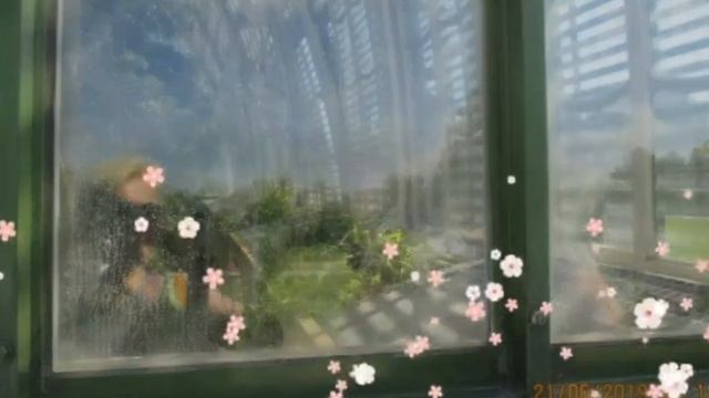 Отправить(5)