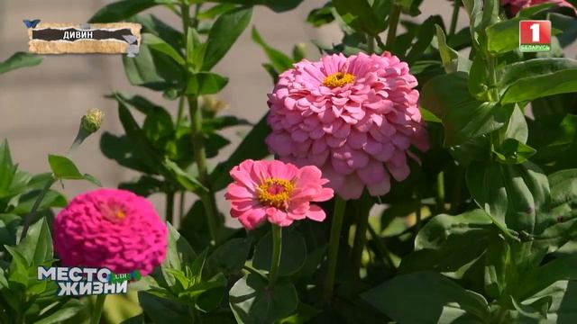 Дивин — настоящее место для жизни! Место для жизни. Панорама