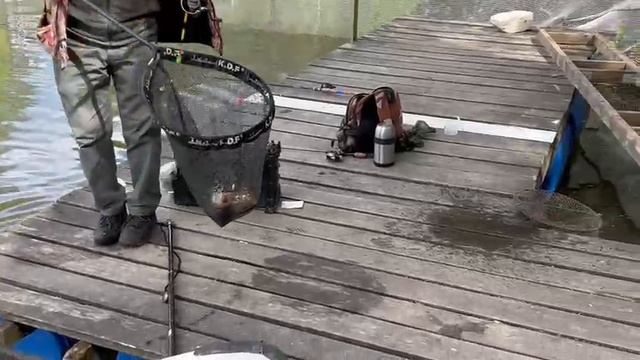 16.05.25 г. РК Волна смотреть онлайн