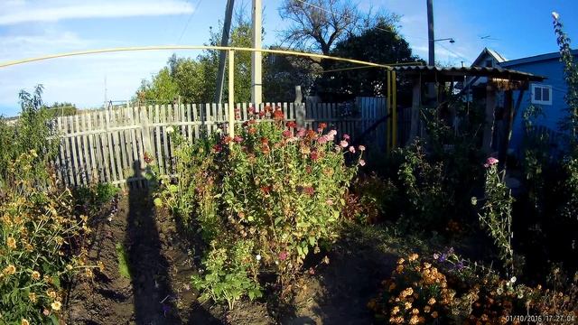 1080P 60FPS 120 гр. смотреть онлайн