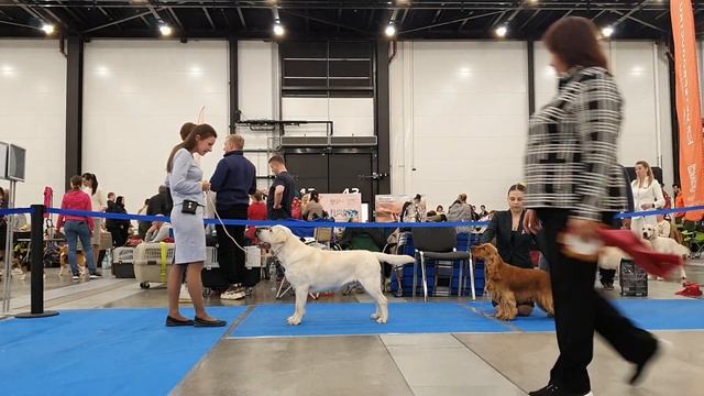 04.05.2024, СПб. Клуб 