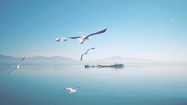 Красота  Музыки Навстречу Миру Позитивная музыка