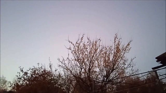 Устала Как Бобик. Моя Отдыхалочка