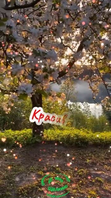 Доброе утро. ВидеоОткрытки смотреть онлайн