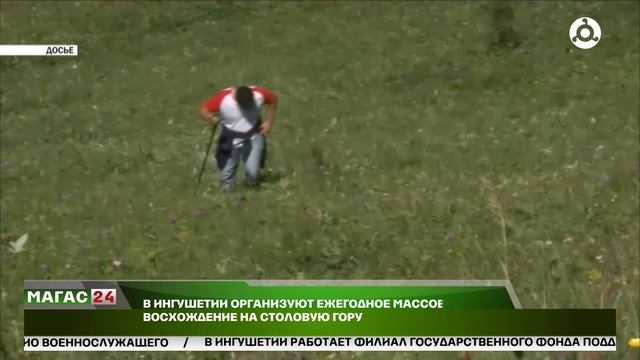 В Ингушетии организуют ежегодное массовое восхождение на Столову гору смотреть онлайн