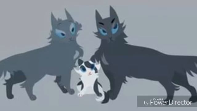 Коты-воители Мошка