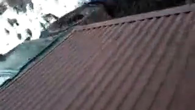 Берчогур смотреть онлайн