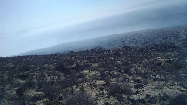 27 октября 2021 г. смотреть онлайн