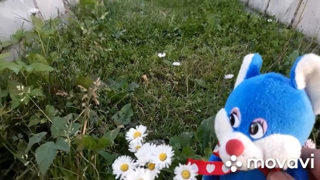 Мышонок Бантик с Полиной гуляют в саду и считают цветы,часть первая. Мультик малышам. смотреть онлайн
