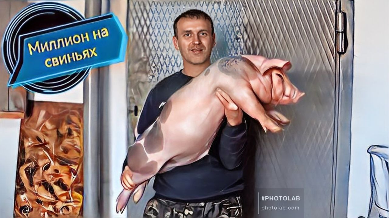 Поросята мутанты уезжают на свои хозяйства!