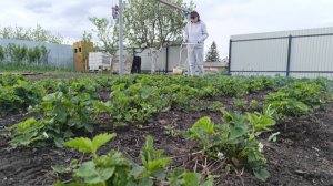 НЕ ЗАСТАВИТЬ РАБОТАТЬ/ЧЕГО БОЯЛАСЬ,ТО И СЛУЧИЛОСЬ/НОЧЬ,А МУЖА НЕТ/ХОРОШО В ДЕРЕВНЕ/