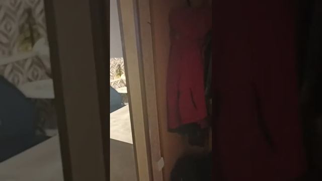 20 сентября 2023 г.