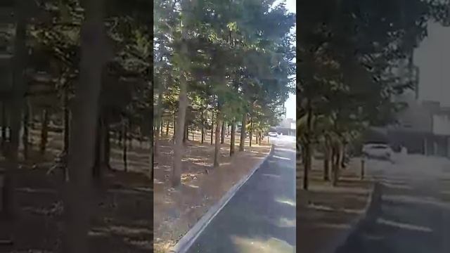 Амурский залив. Санаторий. смотреть онлайн