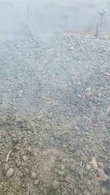 МОТОБЛОК ДЕМИД УЖАСНО ЧТО ДЕЛАТЬ КТО ЗНАЕТ ПИШИТЕ смотреть онлайн