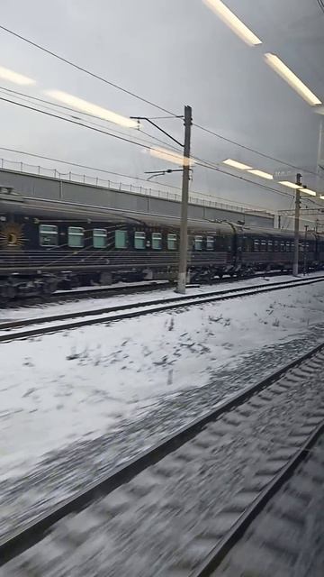 Вагоны фирменного поезда 