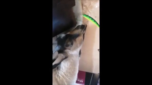 ЮЛИК КОЗЕЛ ПОПАЛ НА КРЮЧОК смотреть онлайн