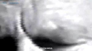 Зеленый слоник учат в школе учат в школе RYTPMV