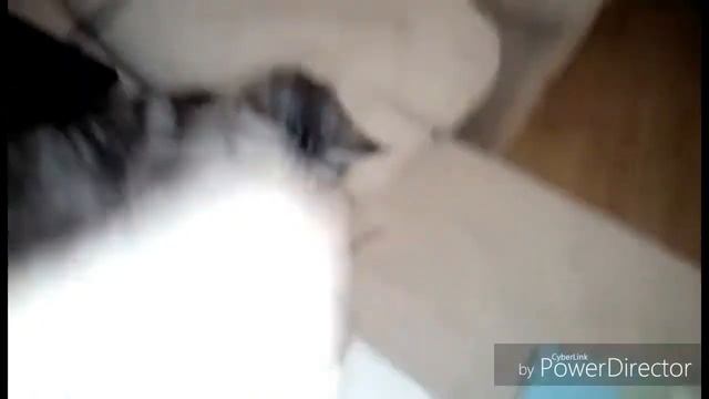 Это точно верно