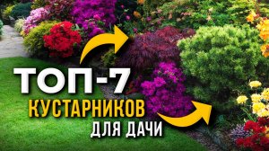 КРАСИВЫЕ Декоративные Кустарники для Сада, которые ПРЕОБРАЗЯТ ВАШ УЧАСТОК!