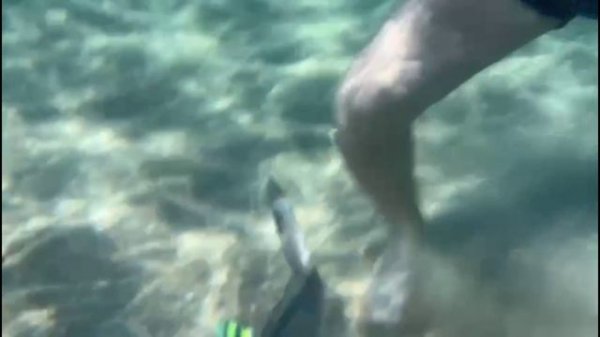 sleeping on a cloud Nabq area magic ukulele