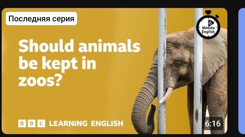 английский на слух 🎧 6 минут английского.BBC learning english.animals in zoos. УРОК+79676250268 ✍ смотреть онлайн