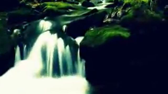 Чоор тартуу смотреть онлайн