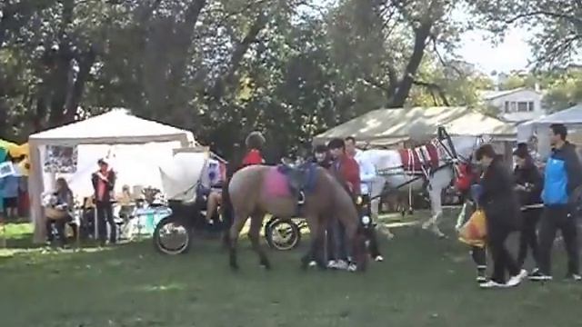 Подольск,Славянское подворье 2014