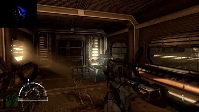 Начало За Пушечное Мясцо! (；￣Д￣) - Aliens VS Predator #1 смотреть онлайн