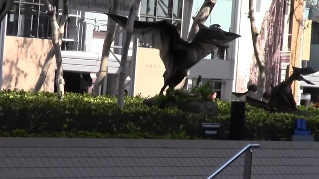 Прогулки по Гонконгу 10