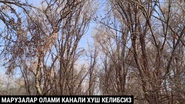 БУНИ КУРИБ ШУЛАР ХАМ ЭРКАКМИ ДЕЙСИЗ АХМОҚ Солихон домла Solixon Domla Full HD