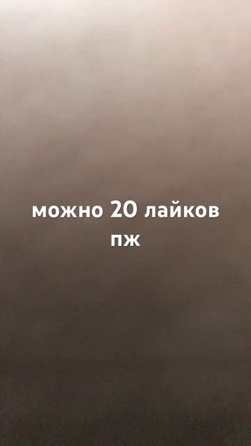 29 апреля 2025 г.