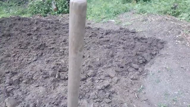 Высадила очень маленький перец смотреть онлайн